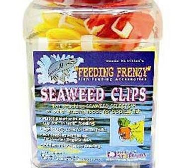 OCEAN NUTRITION - Feeding Frenzy Seaweed Clips - 36 Pieces For Cheap