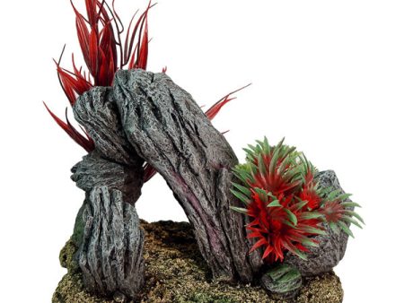 EXOTIC ENVIRONMENTS - Rock Swim-Through with Plants - 7.25  x 5.75  x 5.5  Fashion